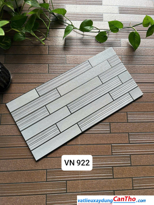 Việt Nhật VN 992